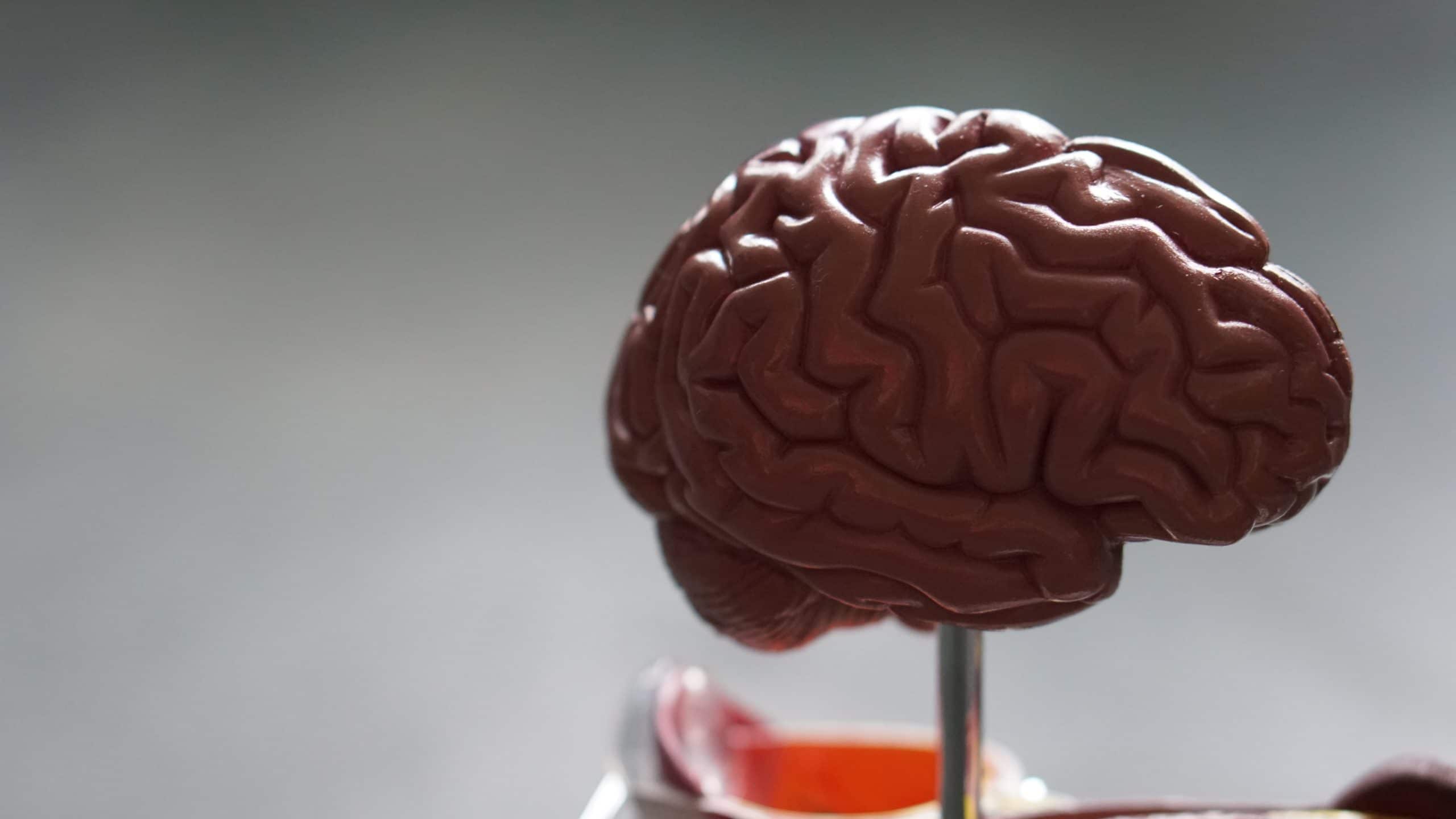 What Happens To Your Brain When You Use Methamphetamine?