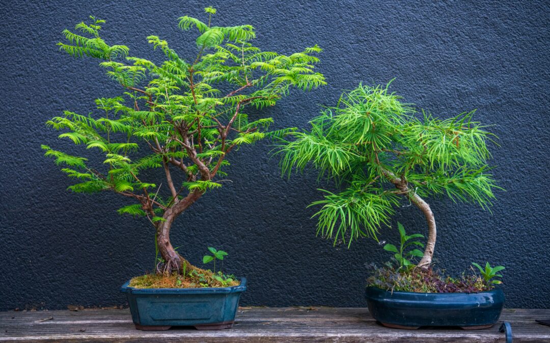 Top Sober Gifts for Recovery: Thoughtful Ideas & Tips
