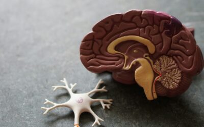 Psychiatric Support in Addiction Recovery: Addressing Mental Health for Sustainable Healing