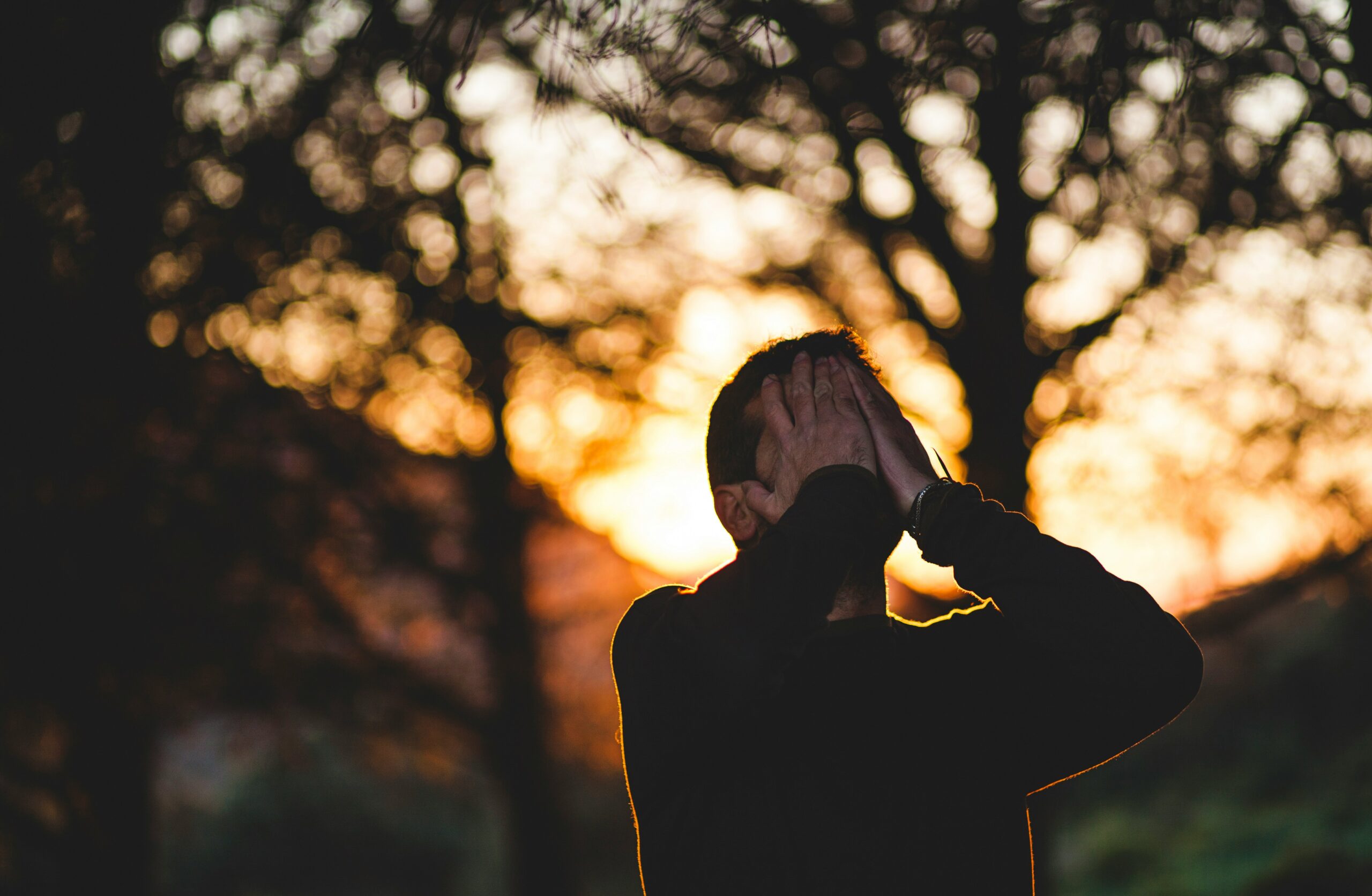 francisco moreno wuo8KnyCm4I unsplash 2 scaled